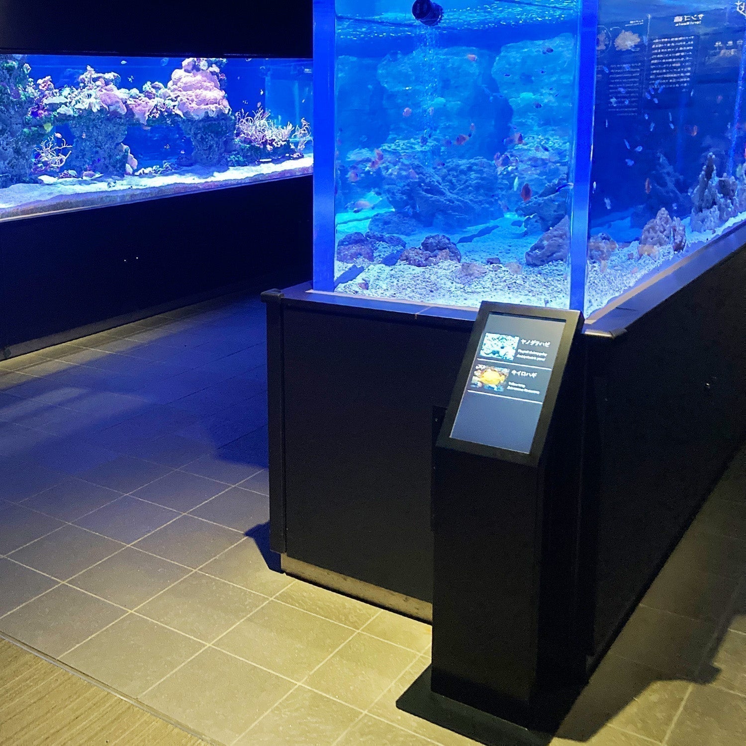 都心の水族館で活躍する、 "魚名板"デジタルサイネージ。/ すみだ水族館