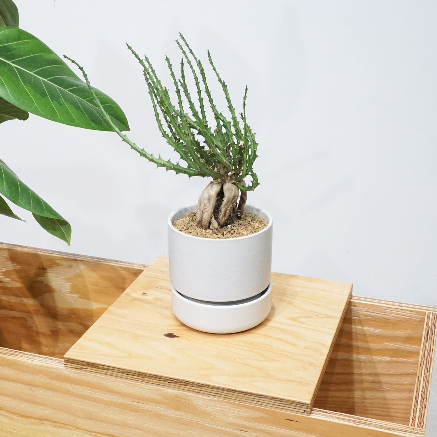 プランタースタンド PS01L