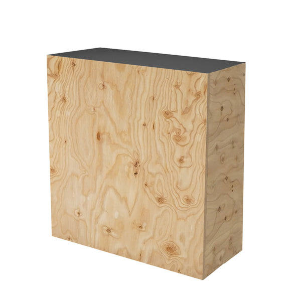 マイクラ 人気アイテム 12PT12L_600x.jpg?v=1625113835 店舗用品