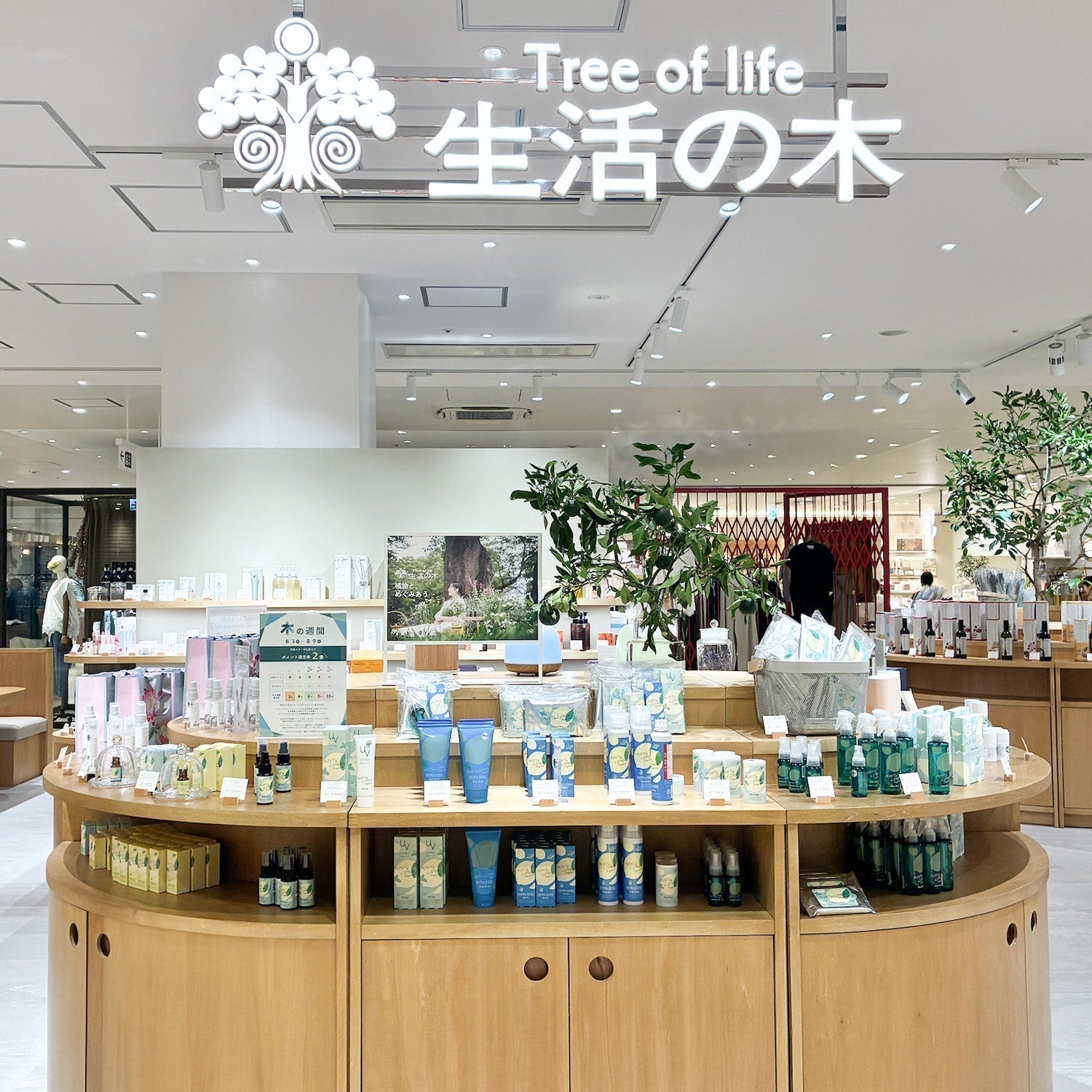 オリジナルのトルソー｜おしゃれな什器の企画・製造・販売 SHOP COPACK