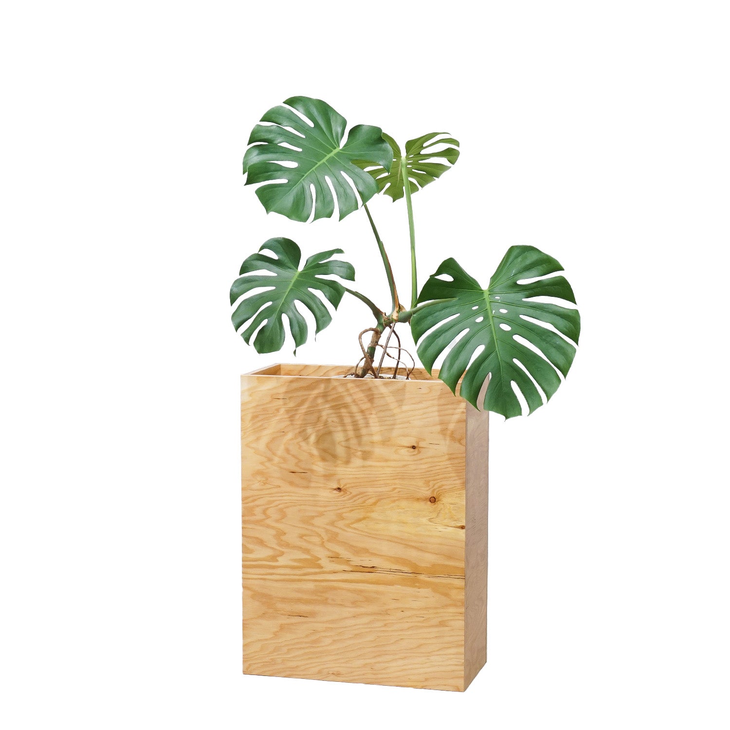 プランタースタンド ｜おしゃれな什器の企画・製造・販売 SHOP COPACK