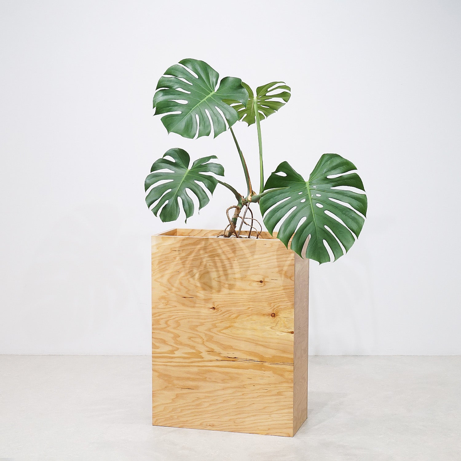 プランタースタンド WOOD プランタースタンド | ゼネラルストア オルネ