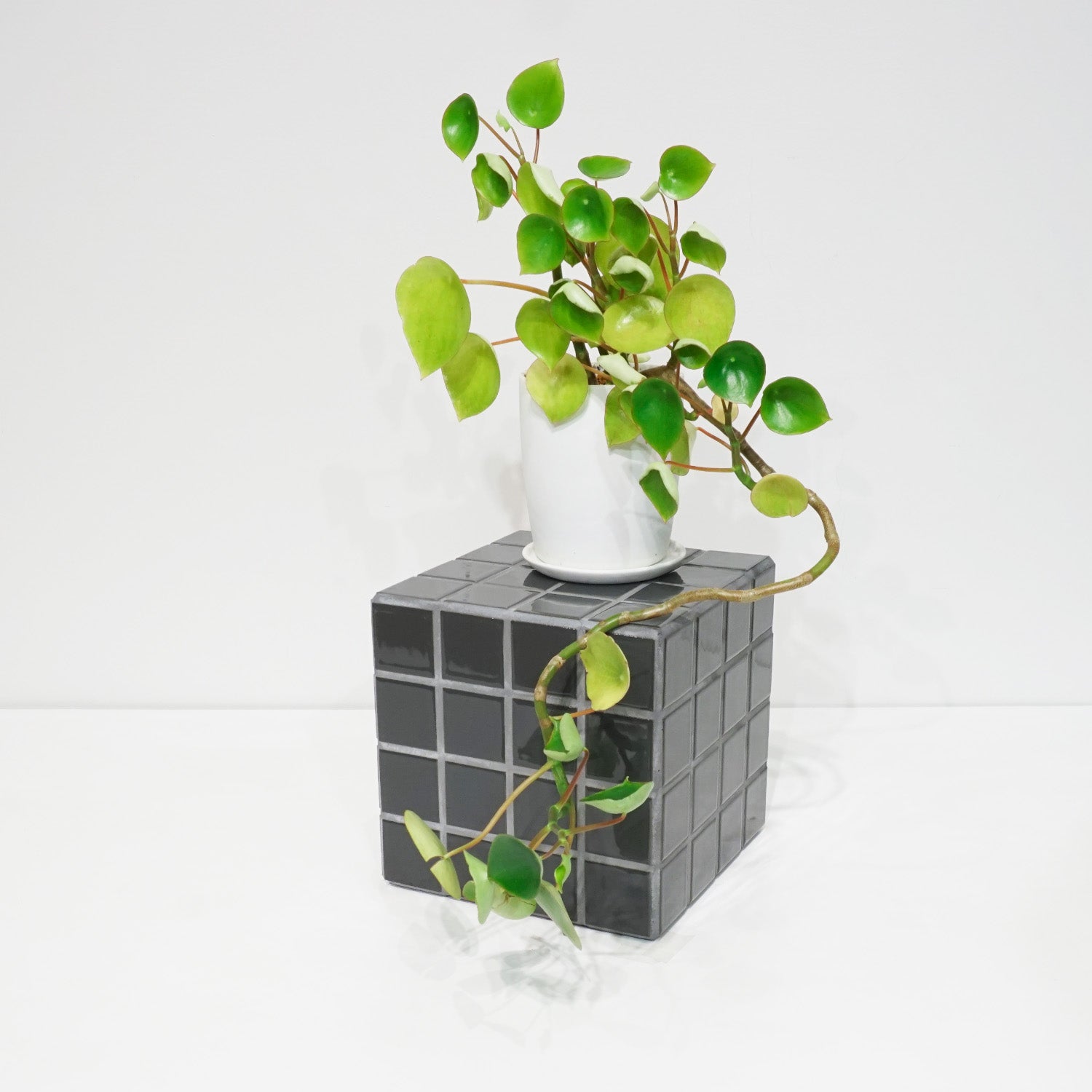 タイルブロック｜おしゃれな什器の企画・製造・販売 SHOP COPACK