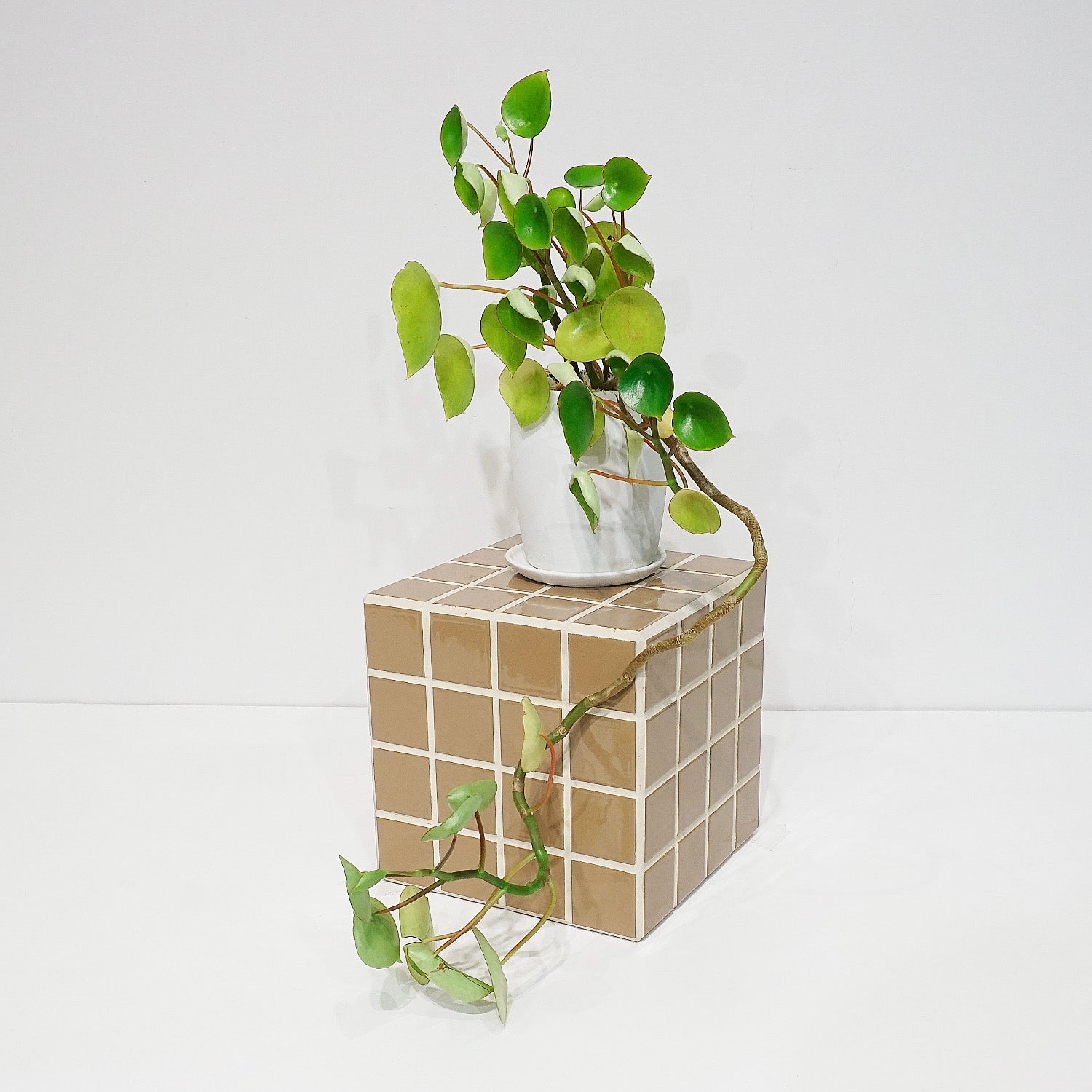 タイルブロック｜おしゃれな什器の企画・製造・販売 SHOP COPACK