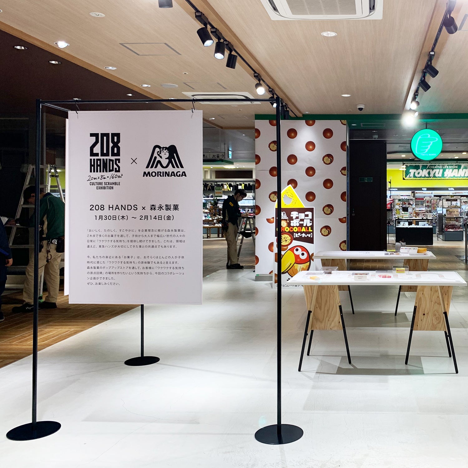 ターポリン（両面印刷）ロング RAY26